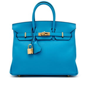 Bleu Zanzibar Swift Birkin 25 Gold Hardware