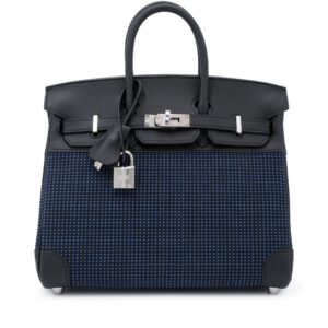 Black Swift and Bleu Egee Bivouac Toile Birkin 25 Palladium Hardware, 2024